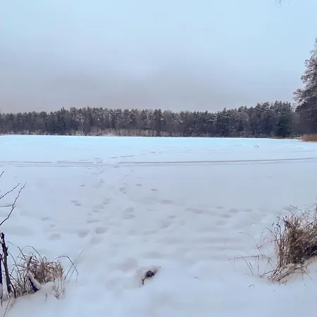 Havurinne * Loppi